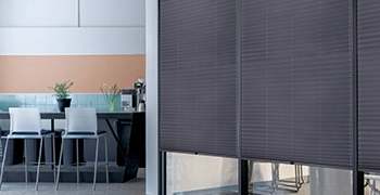 Blackout Pleated Blinds