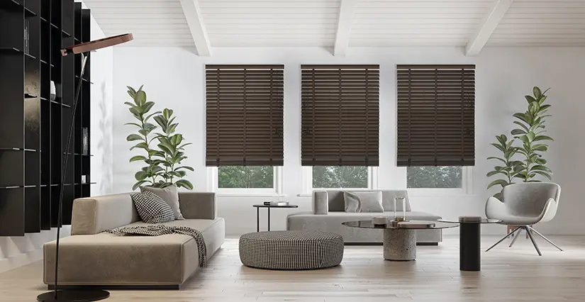 Living room blinds
