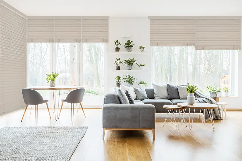 Living room blinds